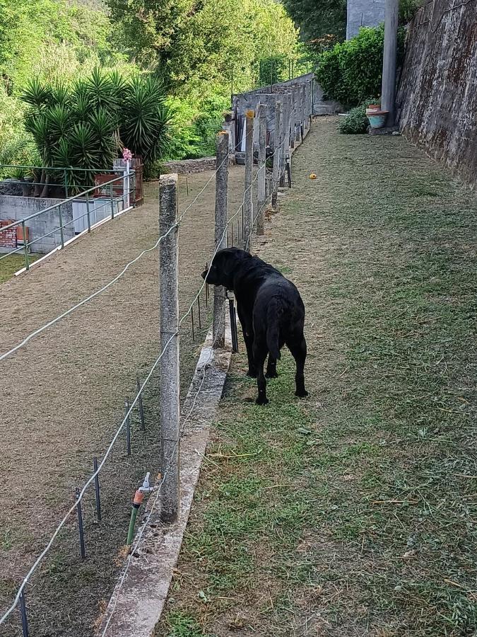 Da Ange E Bru Villa เซสตรี เลวานเต ภายนอก รูปภาพ